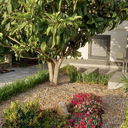 Maris Villa Drenje  Ngoại thất bức ảnh